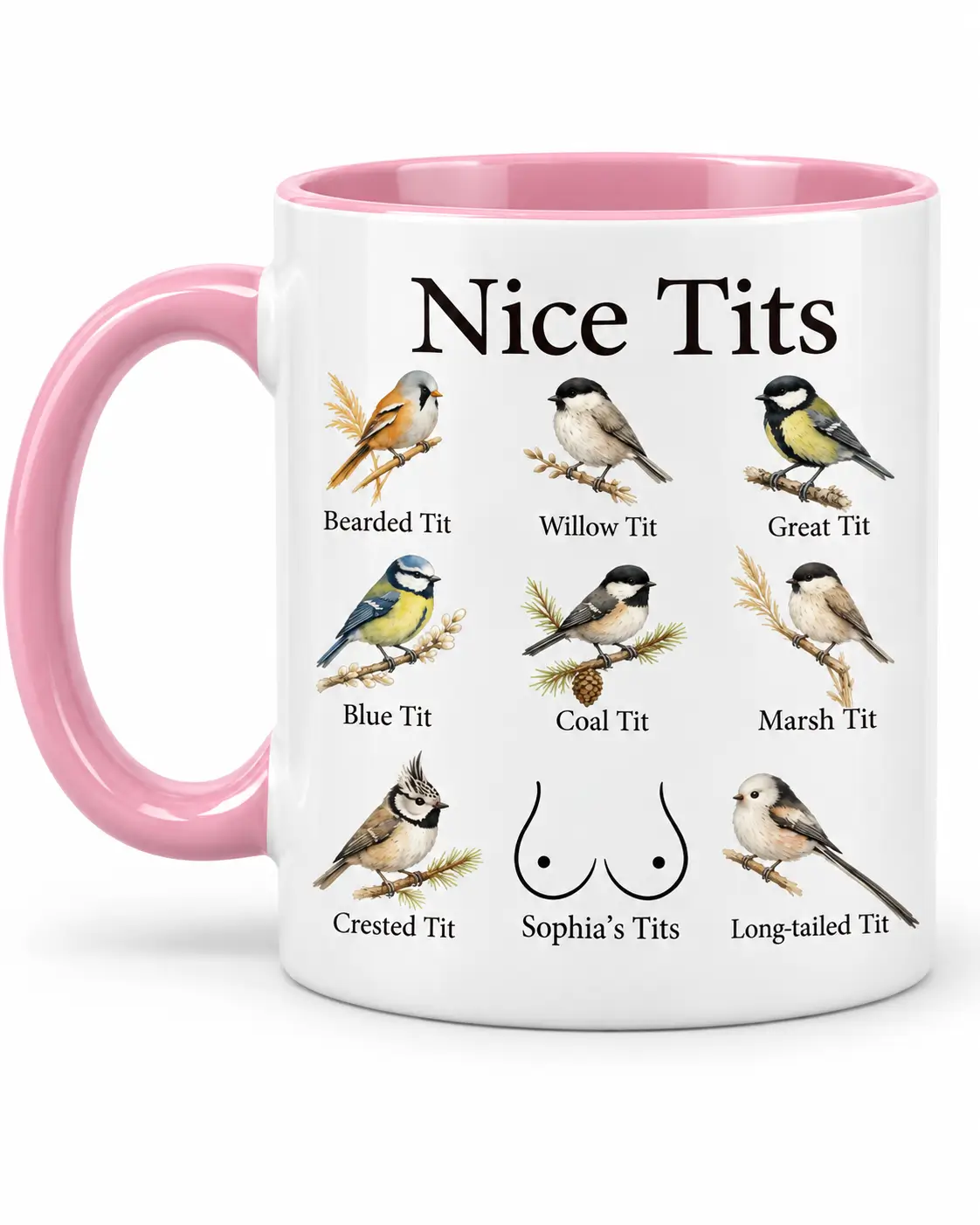 Pink accent mug with personalized Nice Tits bird design